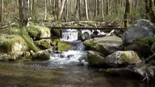 preview picture of video 'A creek going up Low Gap Trail In Cosby Camp Ground'