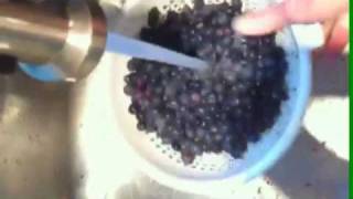 preview picture of video 'Cleaning Blueberries...'