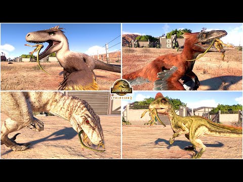 Observing Carnivores Hunting Compys Perfect Animations 🦖 | JWE 2 - Jurassic World Evolution 2