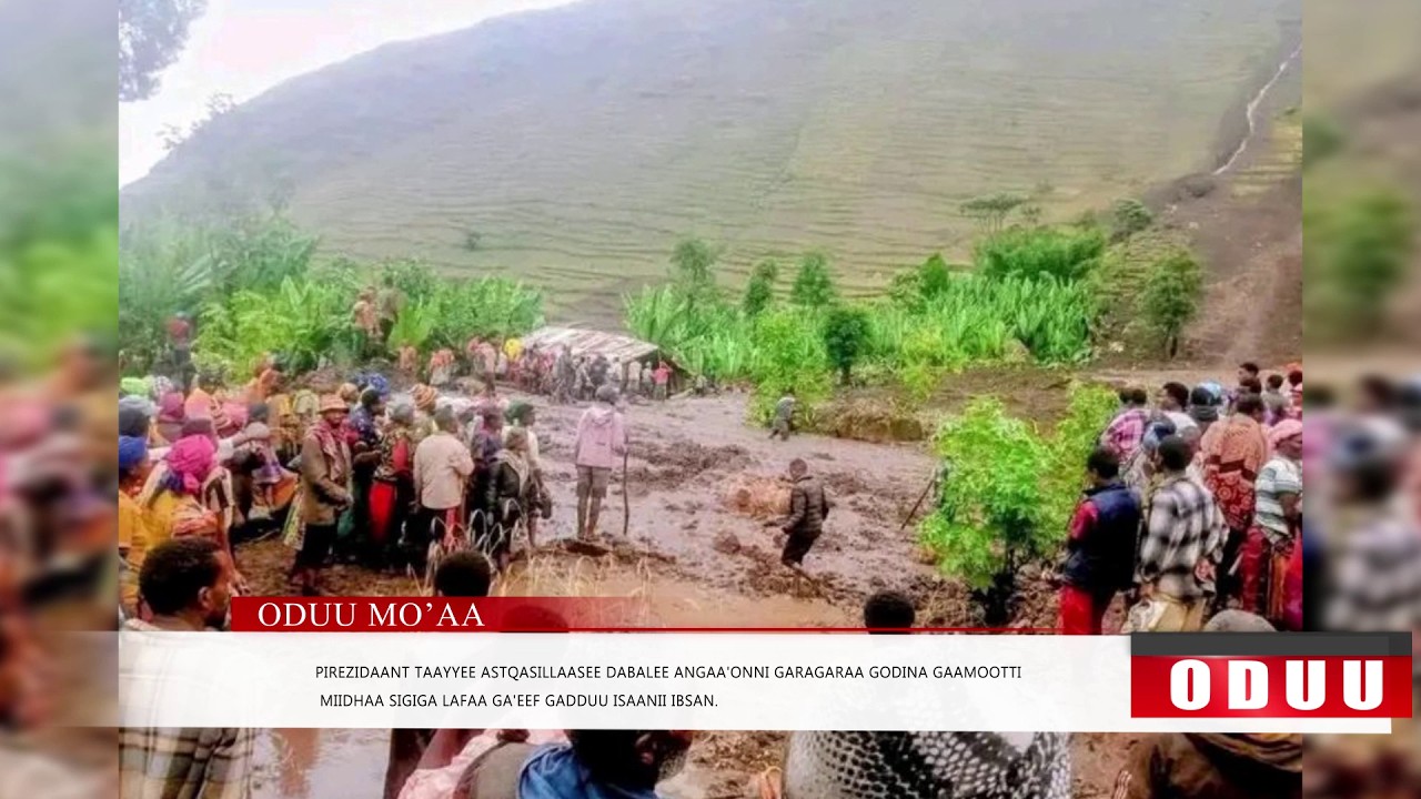 Mo'aa: Oduu Jimaata Galgalaa (Bitootessa 13. 2026) Finfinnee