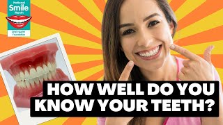 How Well Do You Know Your Teeth?