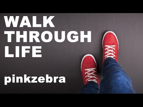 Pinkzebra "Walk Through Life" | Happy Background Music for Videos