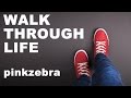 Pinkzebra "Walk Through Life" - Upbeat ...