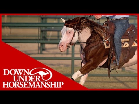 Clinton Anderson Presents: Titan a Legend in the Making, Lesson 7, Part 5 - Downunder Horsemanship