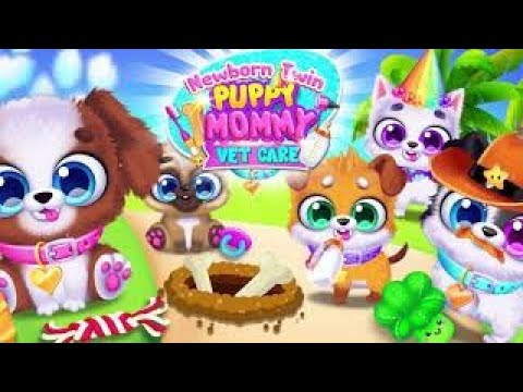 Newborn Puppy Mommy Dog Salon Video