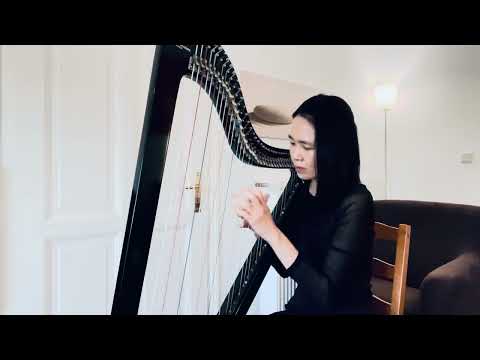 Tomas Kovacs, Terry Joiner - Bundle of Joy (harp cover)