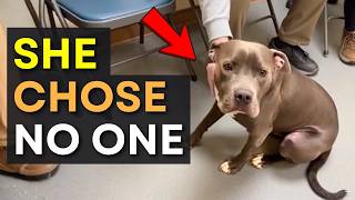 When Dogs Choose Who Adopts Them – The Moment That Melts Your Heart 🥺❤️