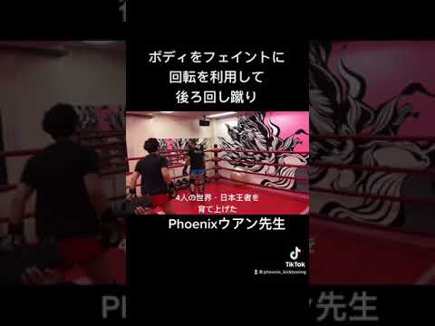 後ろ回し蹴りに繋げるコンビネーションの具体例とポイント解説