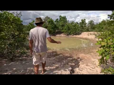 Chácara 28 ha à Venda em Formosa GO | Represa e Poço Artesiano | R$ 220 Mil - 0003