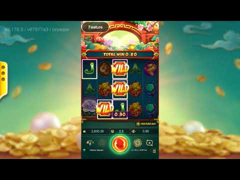 Blossom of Wealth – Video Gameplay