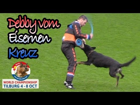 WUSV 2017 Winner Reiner Naschke Debby vom Eisernen Kreuz C Protection 94pts