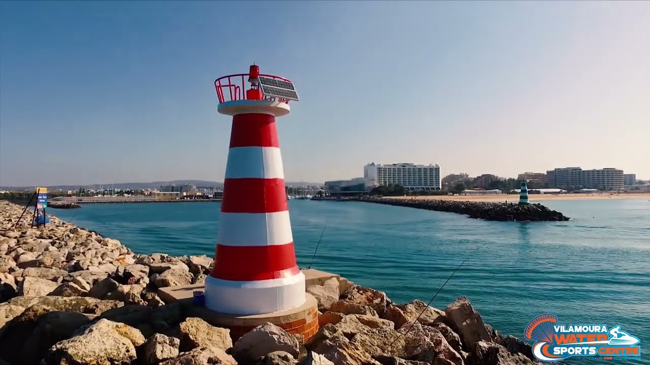 dolphin watching algarve video