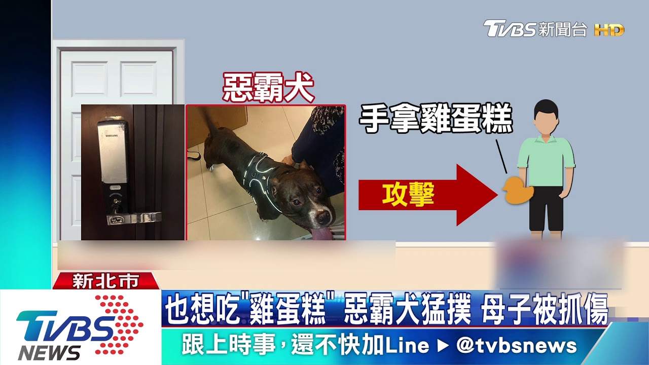 也想吃「雞蛋糕」惡霸犬猛撲 母子被抓傷