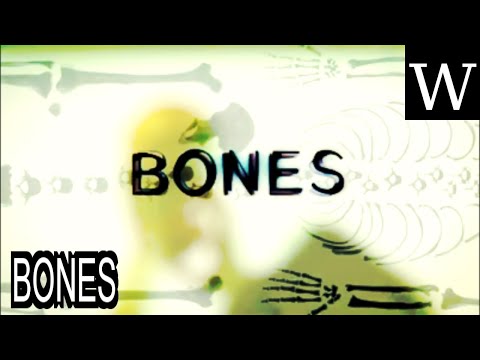 Bones Wikipedia