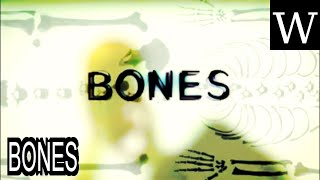 BONES (TV series) - WikiVidi Documentary