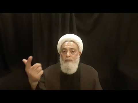 قبسات عاشورائيّة: أخلاق عاشوراء -  الشيخ محسن أميني