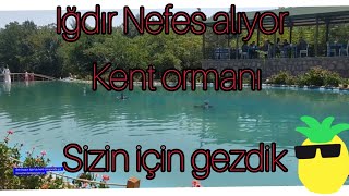 IĞDIR KENT ORMANI