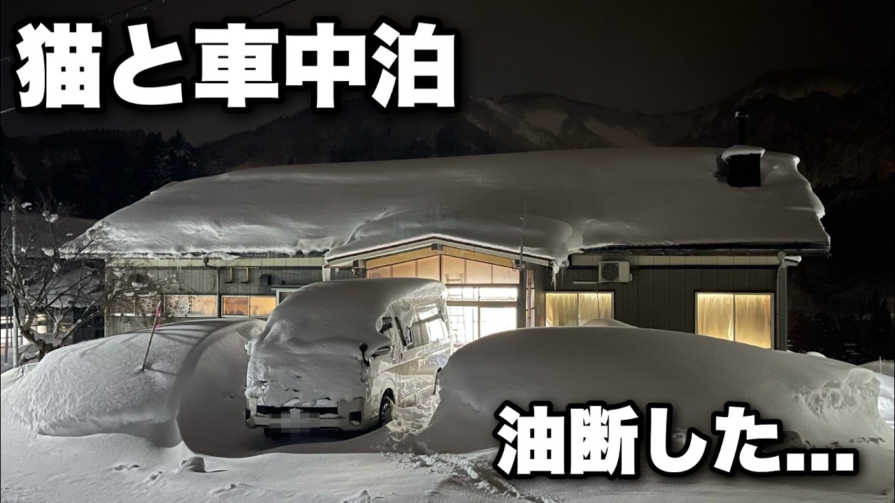 ペットを連れて⾞中泊避難｜DIYしたハイエースで猫と過ごす静かな夜｜災害対策‧防災に【Jackery 2000 New】