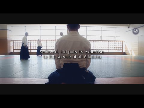 Seido's expertise to the service of all Aikidoka - Guillaume Erard's Seminars Winter 2014