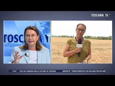 2022-08-12 TG MERIDIANO