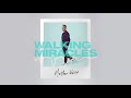 Matthew West - Walking Miracles (Official Audio)