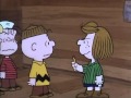 Charlie Brown Race For Your Life Democratic Vote