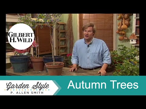 , title : 'Autumn Leaves 🍂 PLUS Tree Planting and Care Tips | Garden Style (902)'