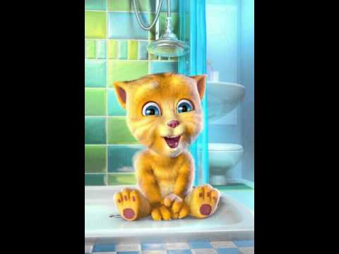 Talking Ginger Piikki