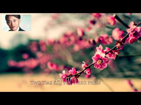 Veness Chang - Twg Tias Koj Yog Neeg Phem (Rendition) POV THOJ Original