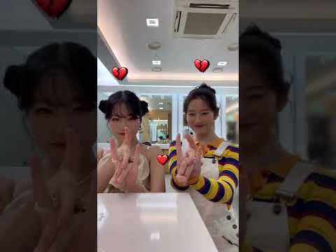 아이콘