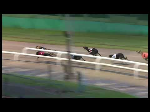 Sparta Master - Summer Stayers Classic 3rd semi-final