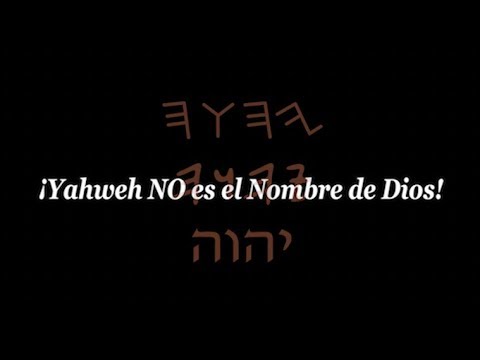 Desperta video