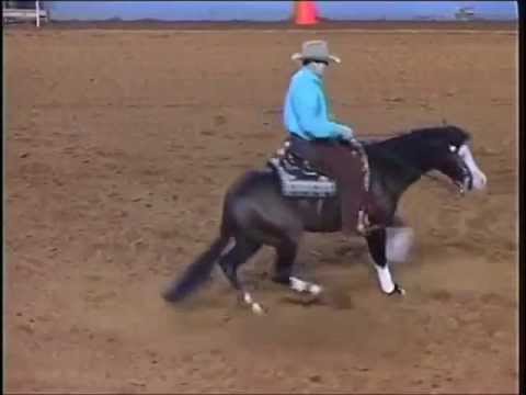 Spooks Gotta Whiz - Jordan Larson - 227