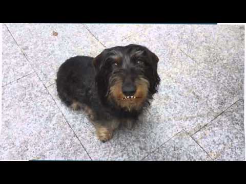 Jamie Happy Birthday