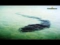 Гигантский подводный змей в Крыму. Карадагский змей 