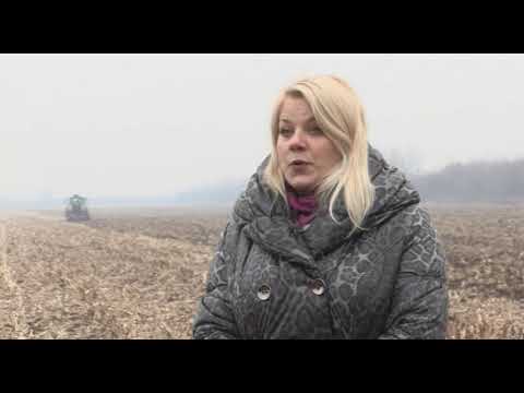 Tradicionalno vs. savremeno: koja obrada zemlje je bolja za vaš usev?