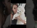 My Best Fucking Friend Viral Dog