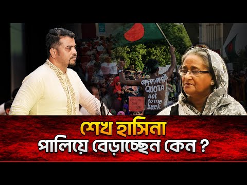 Whom Did He Blame for Former PM Fleeing?