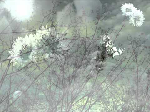 Niala'Kil - The Sun's Gonna Shine On Me (Melokolektiv remix)