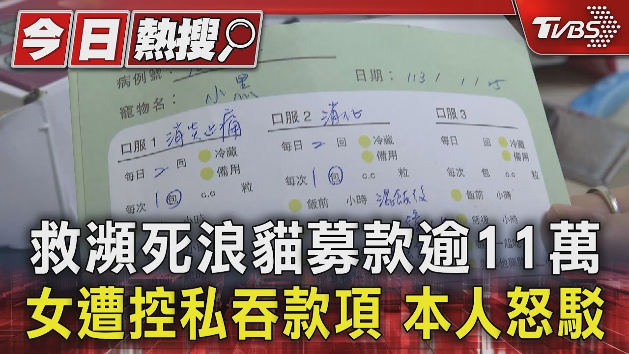 救瀕死浪貓募款逾11萬 女遭控私吞款項 本人怒駁