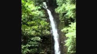 preview picture of video 'Canyoning - Waterfall Rappelling Tour Monteverde Costa Rica'