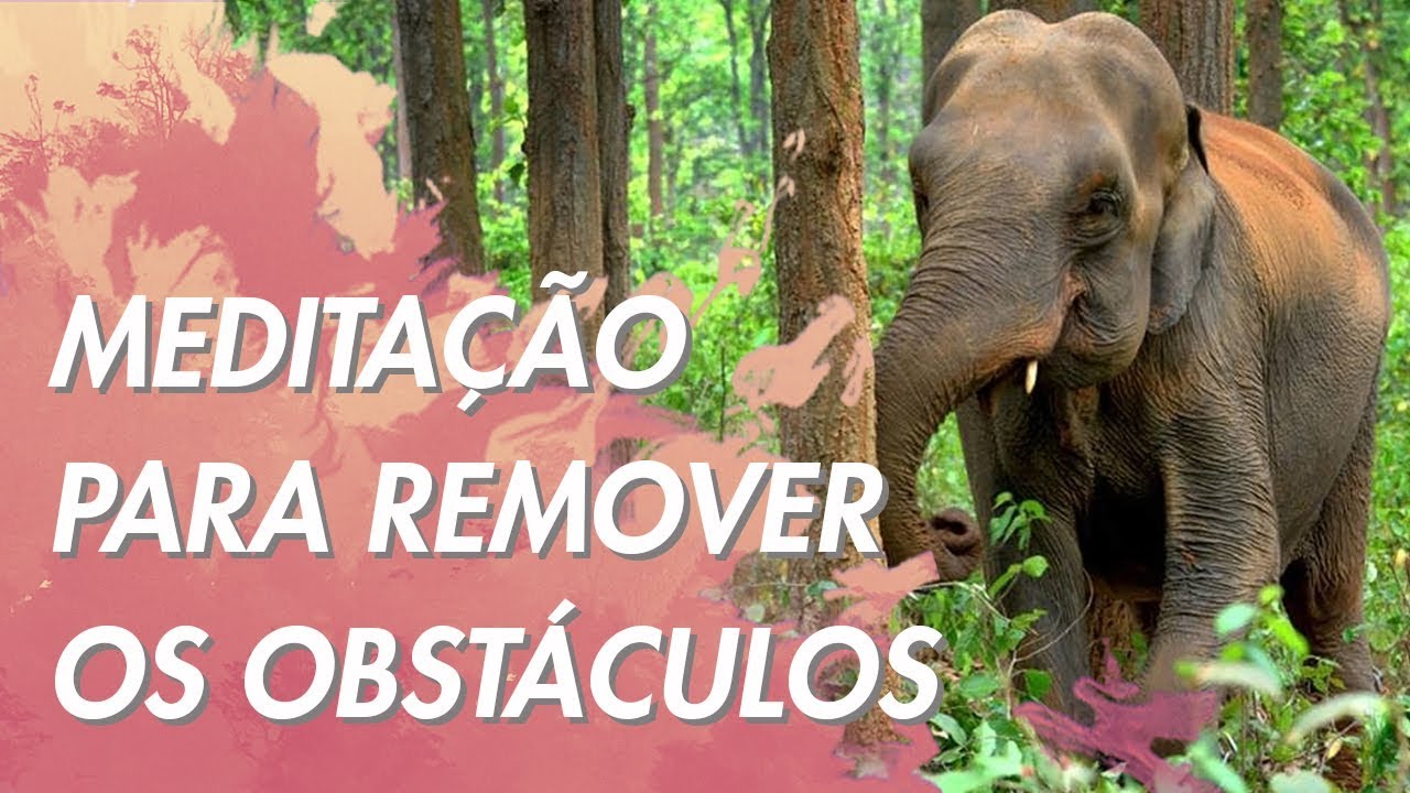 Meditação para Remover Obstáculos e Atingir os Objetivos