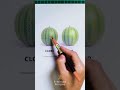 🍉 How to Choose the PERFECT Watermelon (Basically a Fruit Sommelier) 😂👌