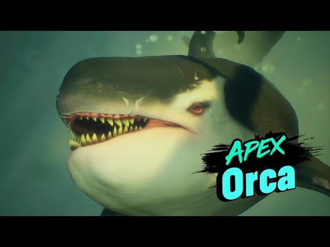 Maneater - Apex Orca Fight HD