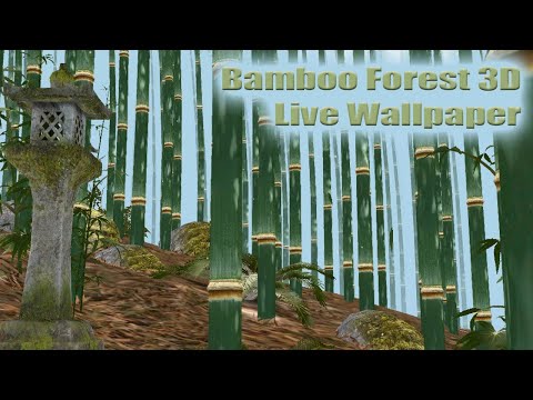Bamboo Forest Live Wallpaper Video