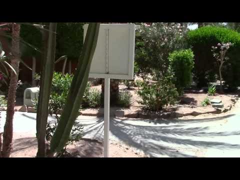 Отель  Sheraton Miramar Resort  El Gouna 5* .