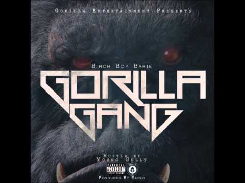 Birch Boy Barie "You Don't Understand" (Feat. Clint Collins) [Gorilla Gang Mixtape]