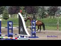 459S Lindsay Wagner On Jenson SR Novice Show Jumping Rebecca Farm July 2019