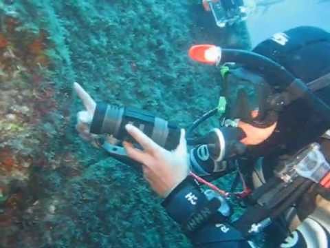 Wrack Lina, Insel Cres, Diving Cres -Nicole, Mirko u. Ralle, Wrack der Lina,Cres,Kroatien