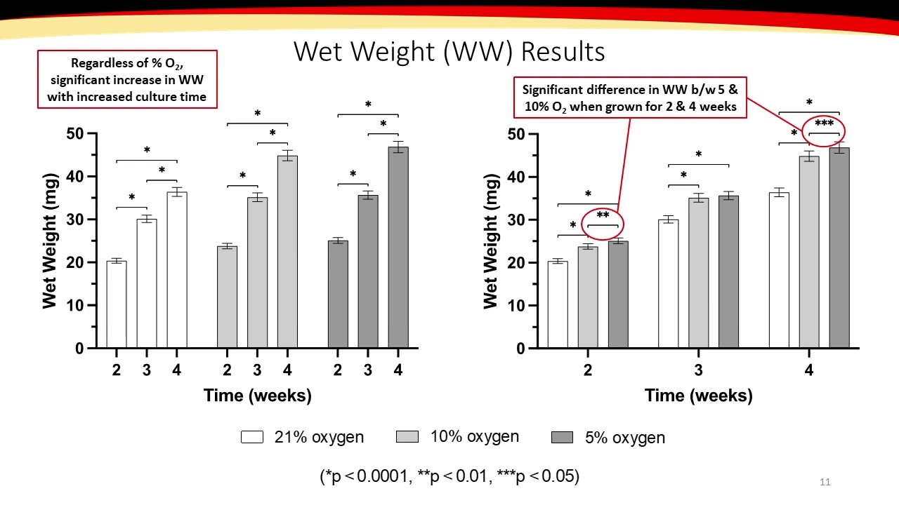 The Effect of Oxygen Tension & Culture Time on the Chondrogenic Differentiation of Equine Cord